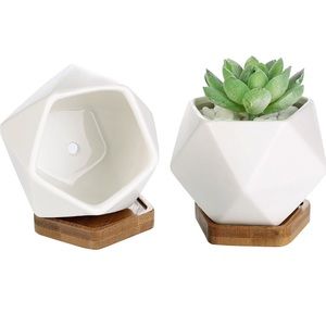 Mini Geometric Succulent Planters Set of 2